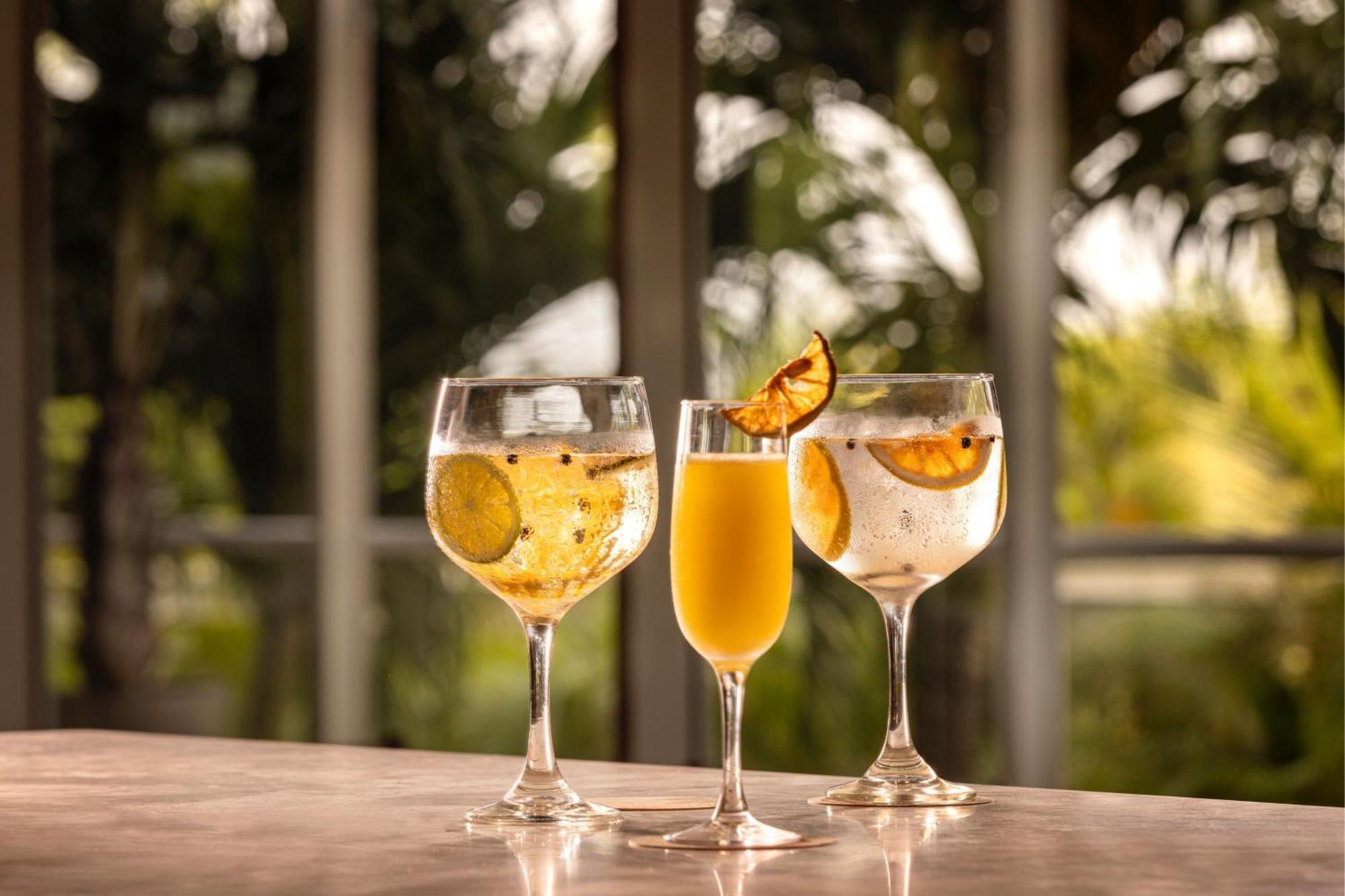 منتجع سانتا مارتا ماريوت بلايا دورميدا المظهر الخارجي الصورة Glasses of ginger beer